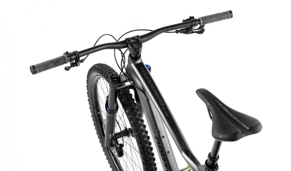 Dartmoor Trailbike Thunderbird Superenduro Evo Alu 29'' Matt Graphite/Black 4 Dartmoor Trailbike Thunderbird Superenduro Evo Alu 29'' Matt Graphite/Black – Bild 4