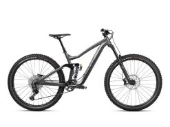 Dartmoor Trailbike Thunderbird Superenduro Evo Alu 29'' Matt Graphite/Black